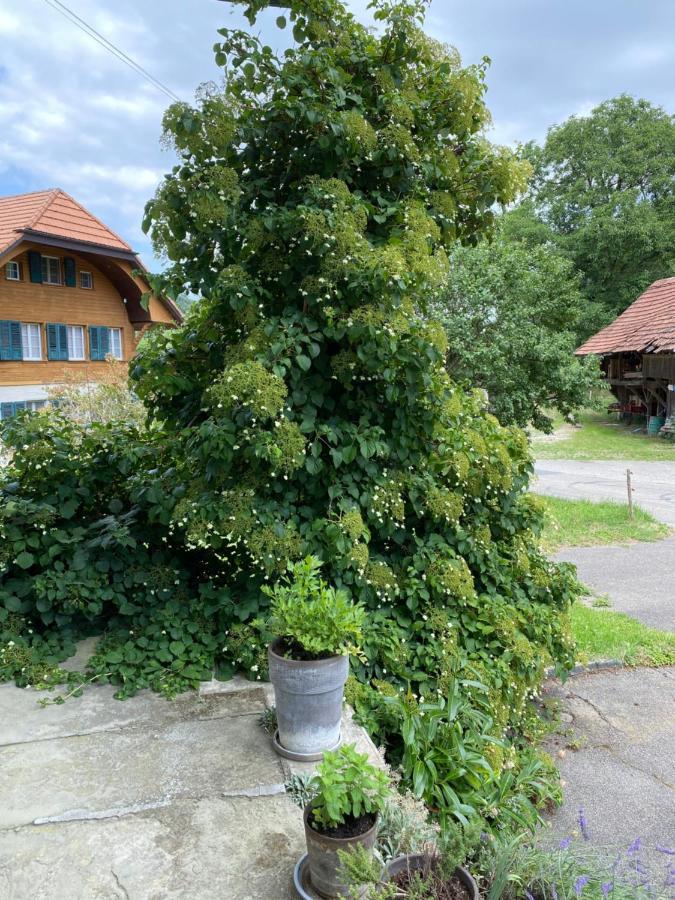 B&B Tannen124 Oberburg Esterno foto