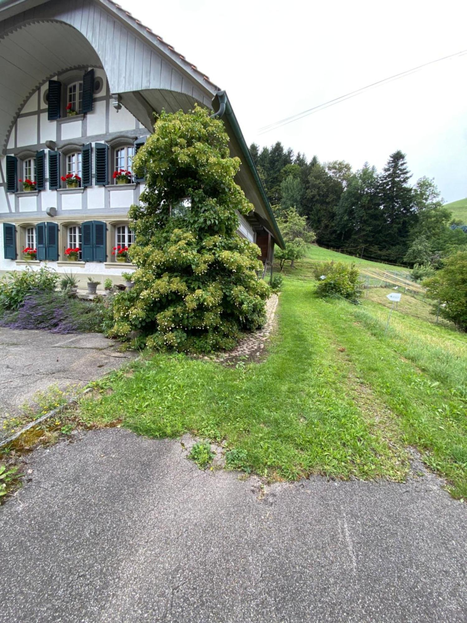 B&B Tannen124 Oberburg Esterno foto