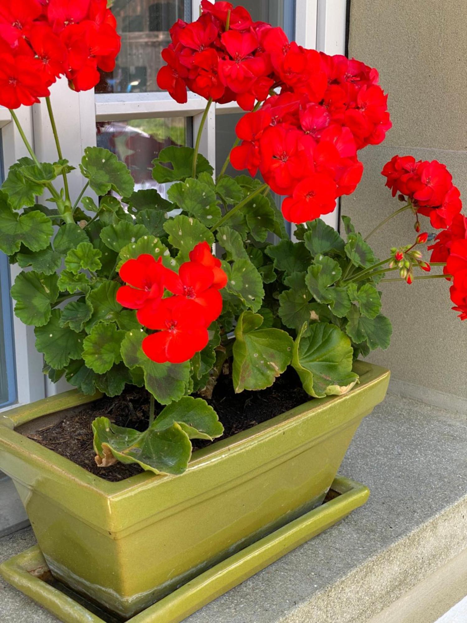 B&B Tannen124 Oberburg Esterno foto