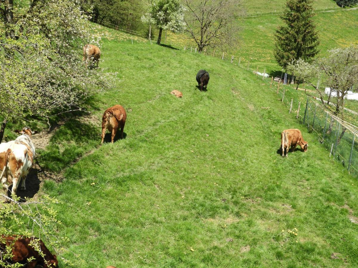 B&B Tannen124 Oberburg Esterno foto